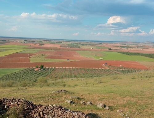 Nuevo activismo de la asociación AS 711Autosuficiencia y supervivencia