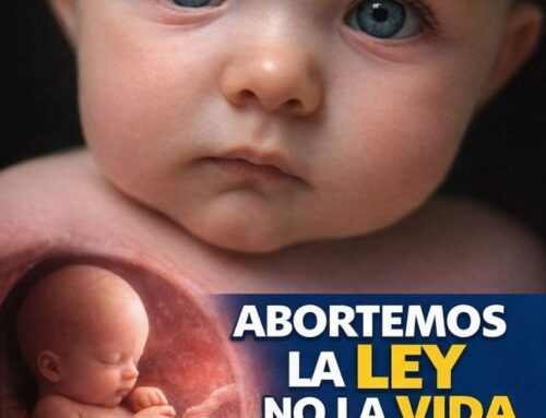 Democracia Nacional, contra el abortoCOMUNICADO