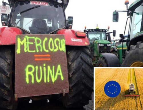 El acuerdo UE–Mercosur: una crítica desde el terrenoPABLO M. ALCAIDE